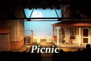Picnic
